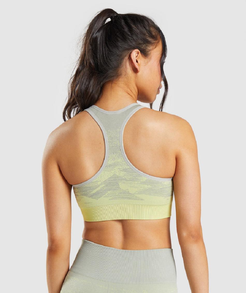 Sujetadores Deportivos Gymshark Adapt Ombre Seamless Mujer Gris Marrones Gris | CO 2201UZG